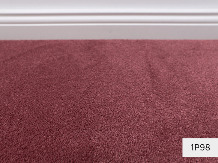 Mira Vorwerk Teppichboden Meterware in 1P98 - TS519999