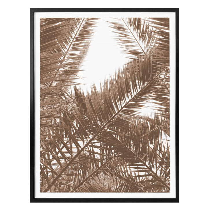 Poster Phoenixpalme - WA318204