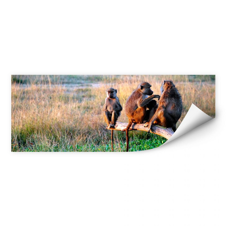 Wallprint Affenbande - Panorama - WA181086