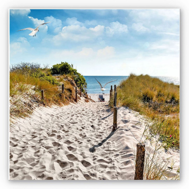 Wandbild Way to the Beach - quadratisch - WA196098