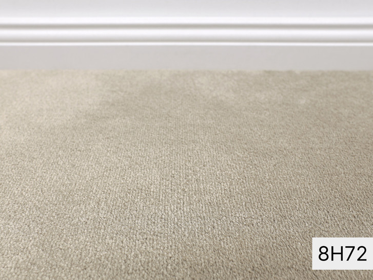 Safira Vorwerk Teppichboden Meterware in 8H72 - TS521048