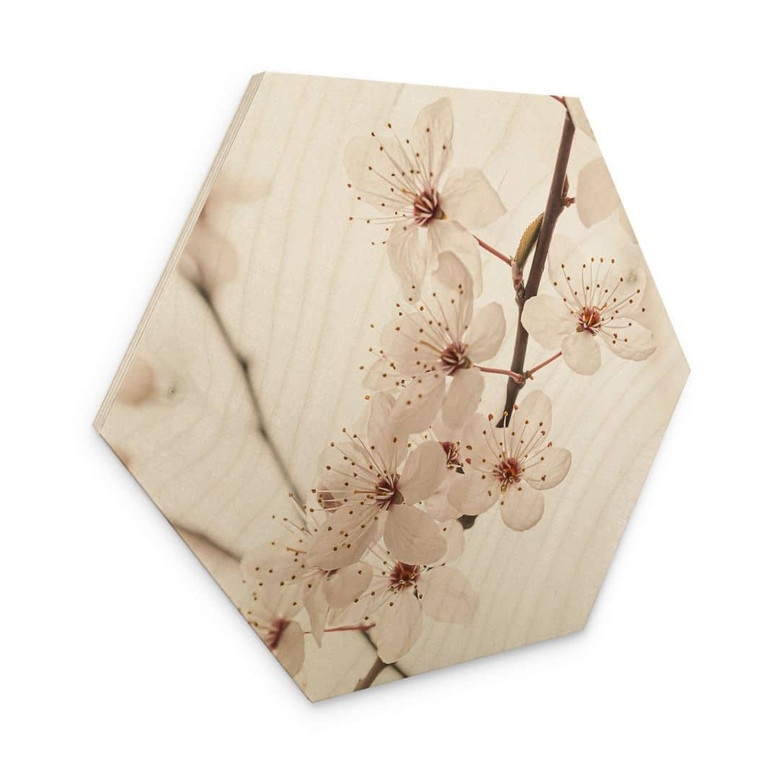 Hexagon Holzbild Zweig mit weissen Kirschblüten - Sisi & Seb