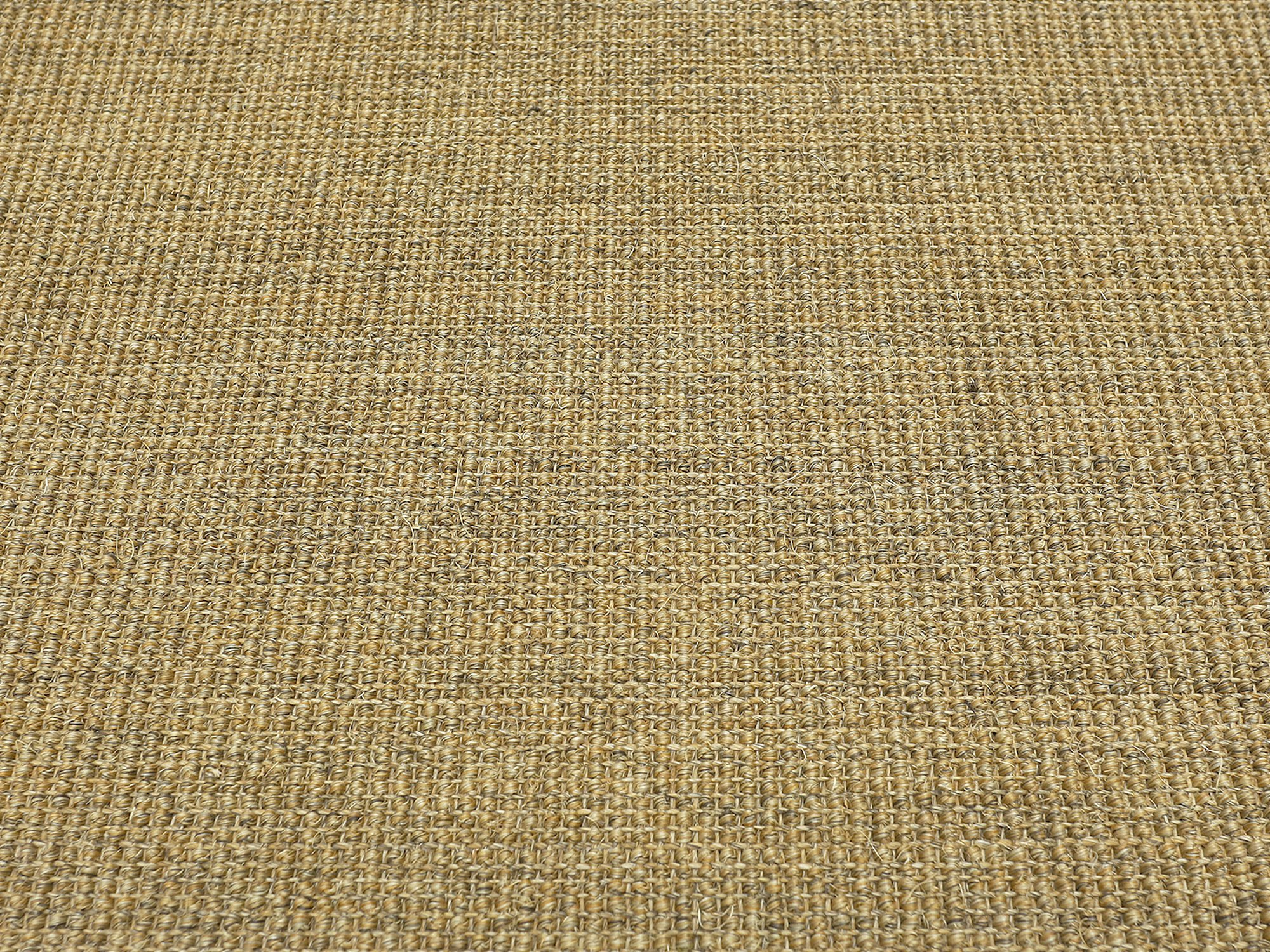 Salsa Sisal 5cm Bordürenteppich in Honig