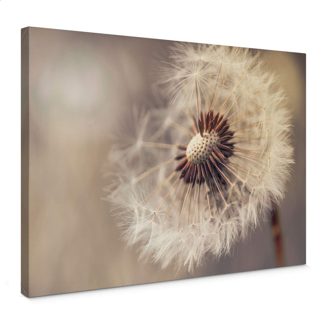Leinwandbild Delgado - Pusteblume 