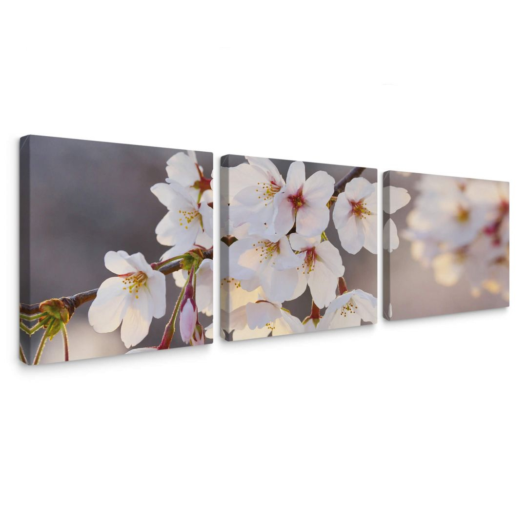 Leinwandbild Kirschblütenzweig (3-teilig)