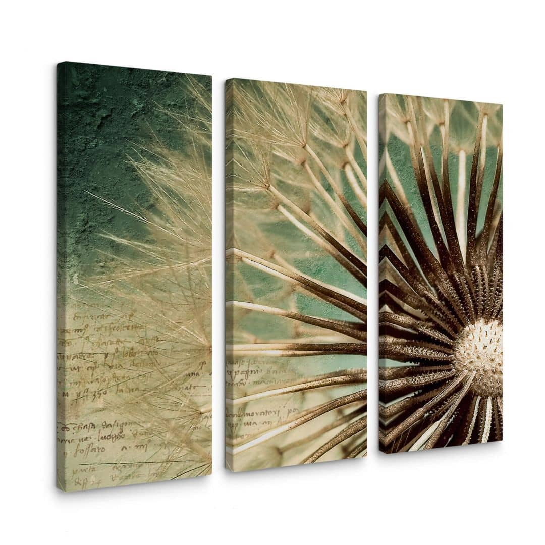 Leinwandbild Pusteblumen-Poesie (3-teilig)