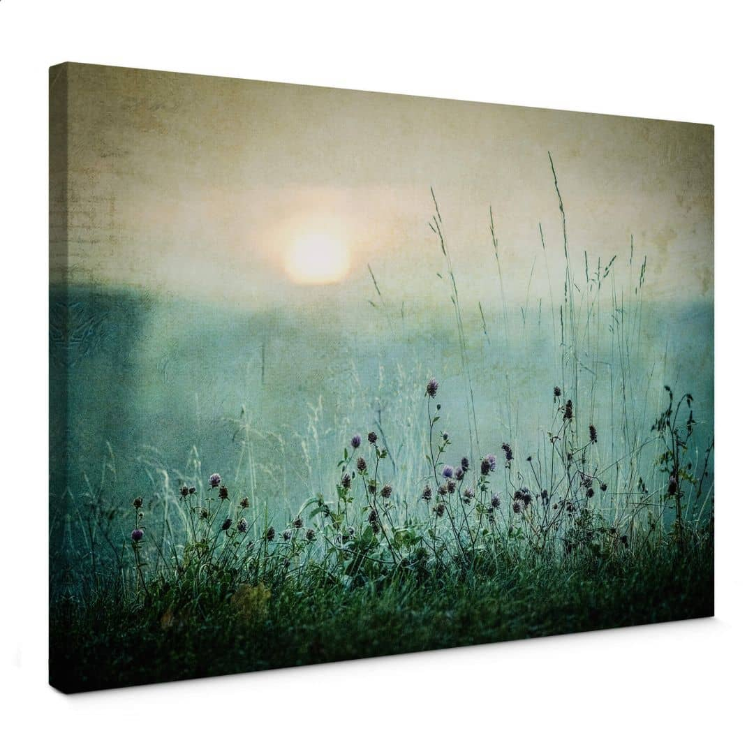 Leinwandbild Taubedeckter Sonnenaufgang - Kværnstrøm