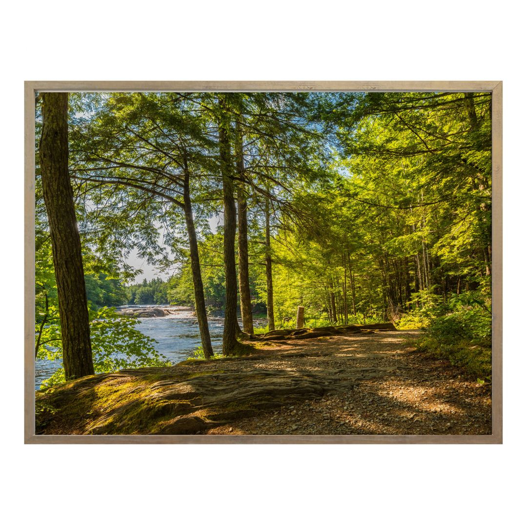Poster Waldweg am Fluss