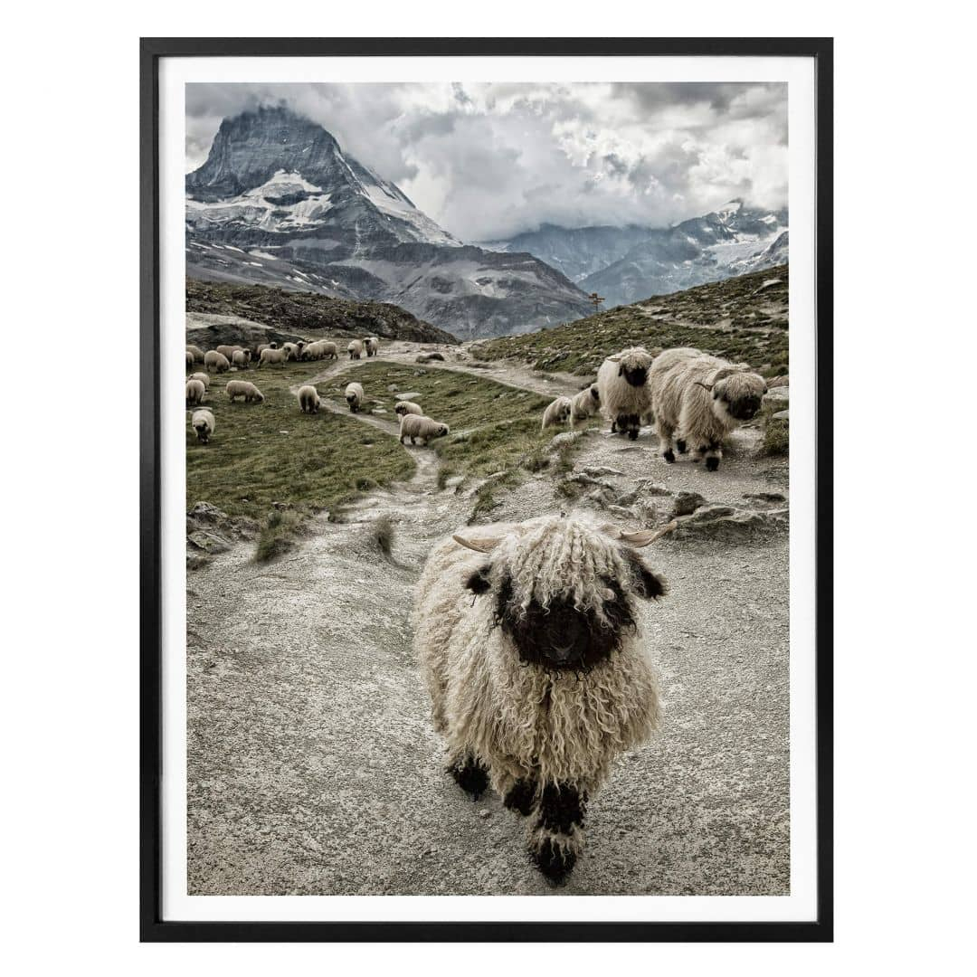 Poster Landolt - Ausflug in die Berge